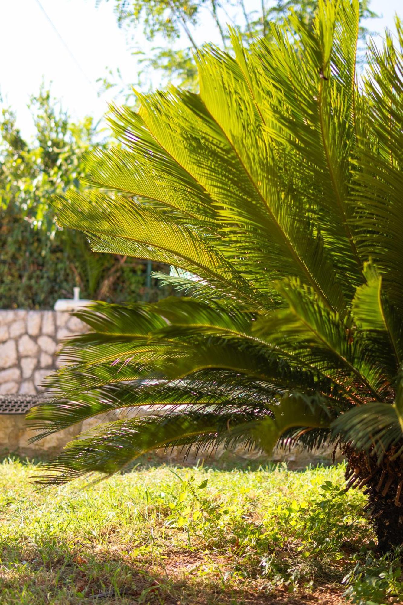 Kadena Apartments Котор Экстерьер фото